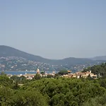 La Mandarine